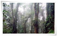  สถานที่ท่องเที่ยว ภาพชุดที่  2 